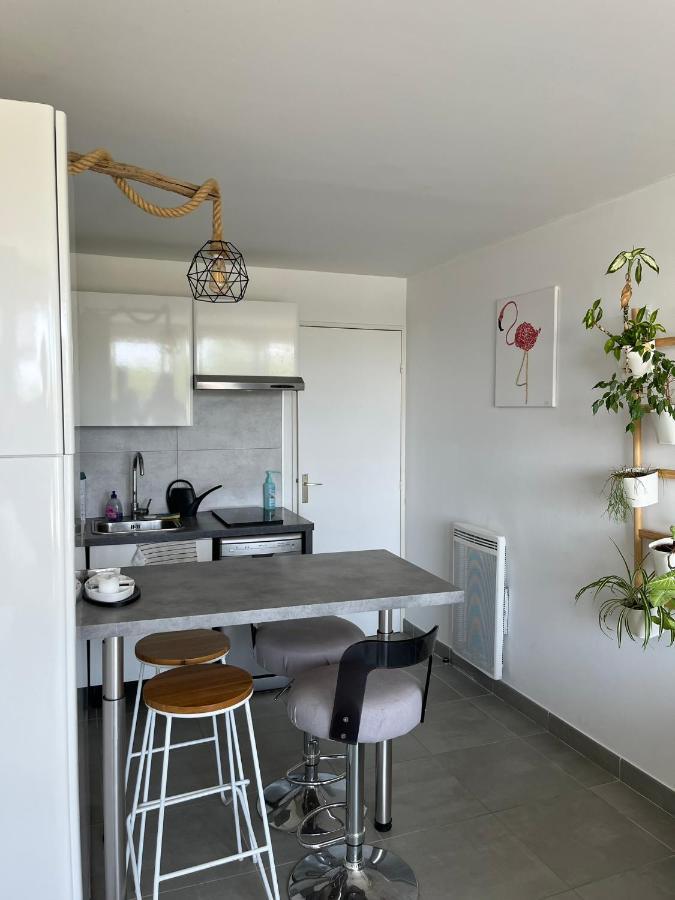 Studio Port Camargues 勒格罗-迪鲁瓦 外观 照片